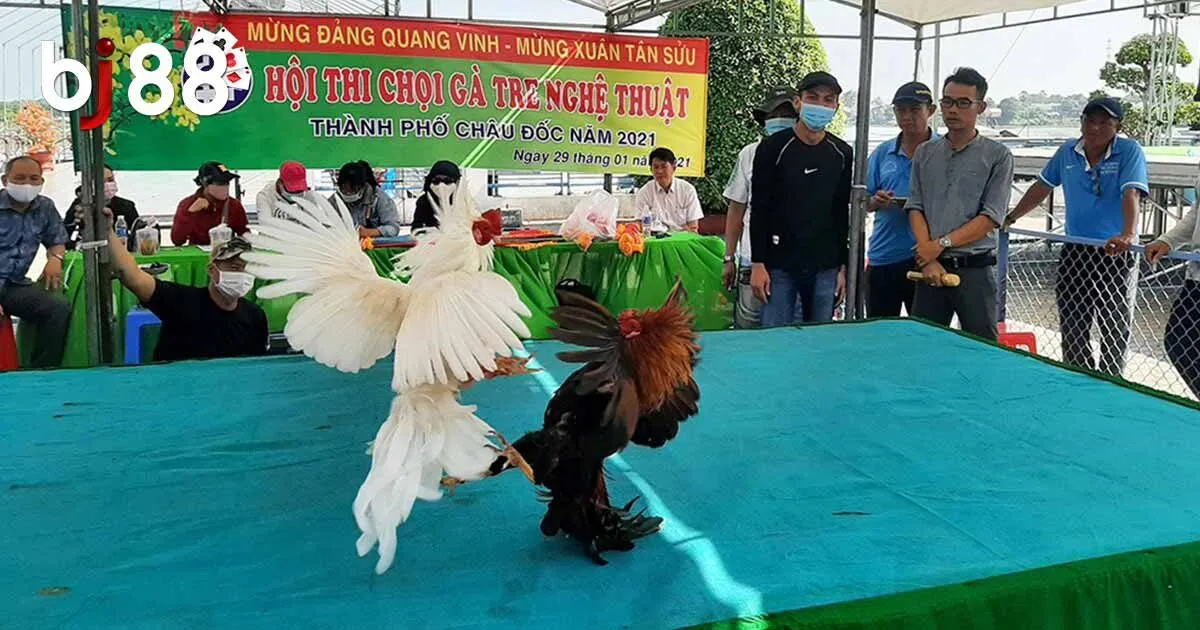 Đá Gà Tre BJ88 Có Gì Hấp Dẫn? Cách Tham Gia Cho Newbie 3 Lý do các trận đấu gà tre BJ88 luôn thu hút